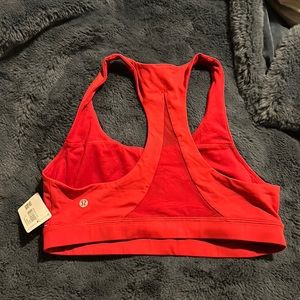 Dark red invigorate bra